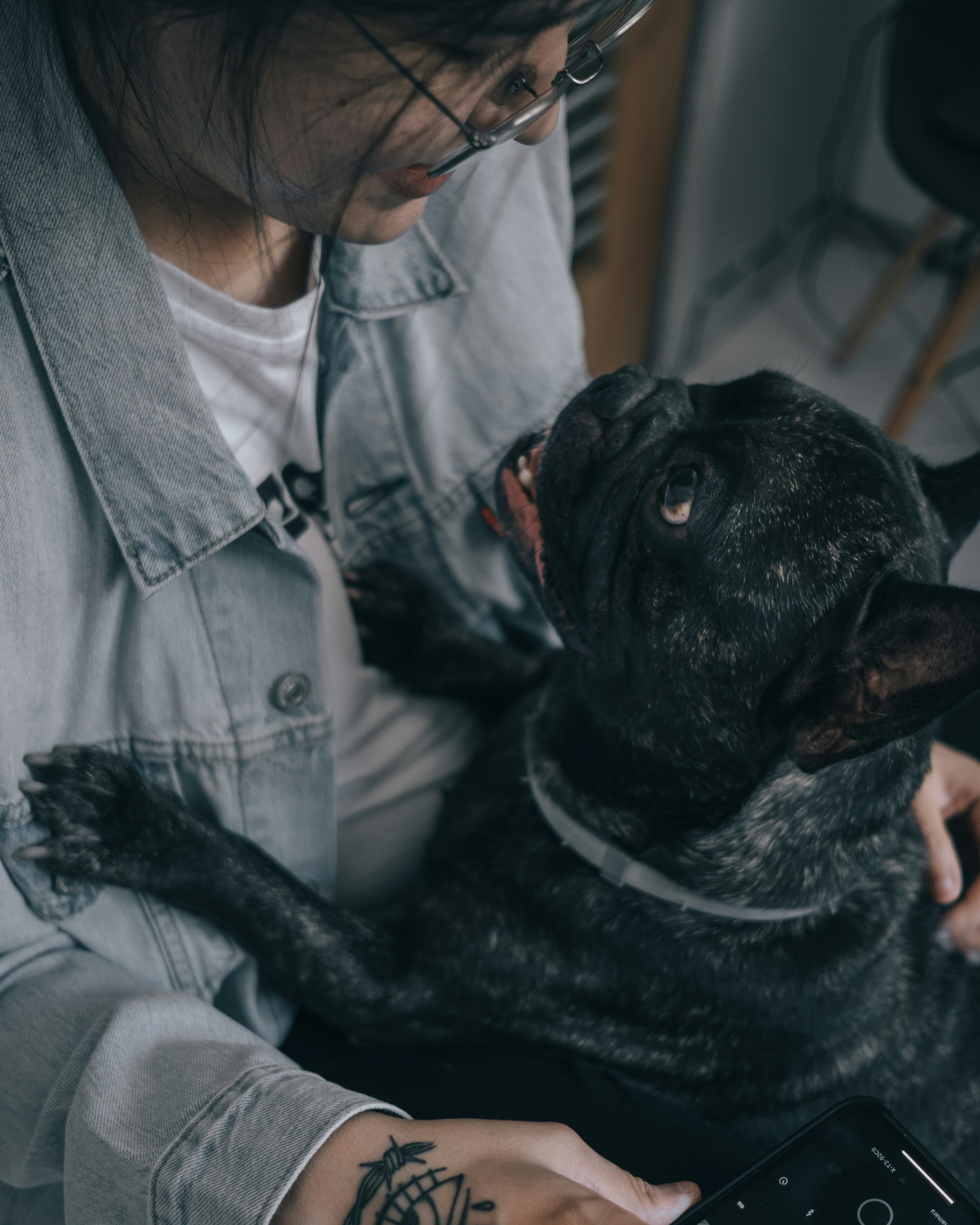 How to Match Your Personality with the Perfect Dog Breed